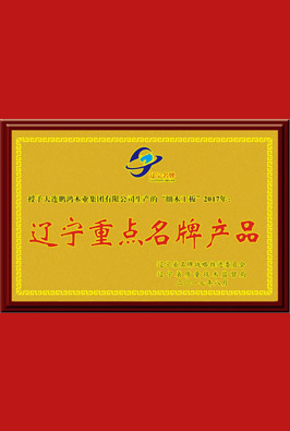 辽宁沉点名牌产品