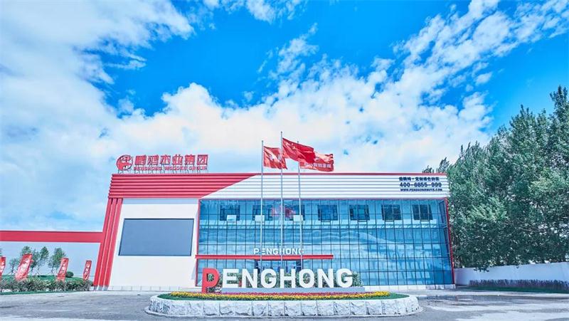 J9.COM“定造家”升级“妄想家”