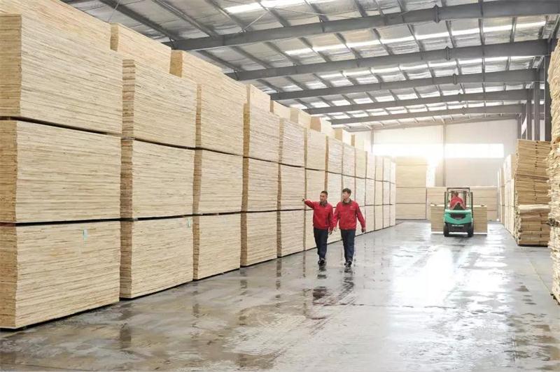 J9.COM板材出产基地