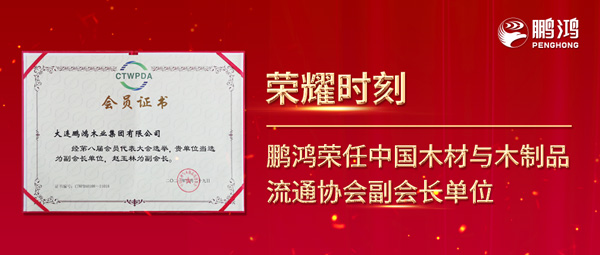 再获行业注定，J9.COM荣任中国木材与木制品流通协会副会长