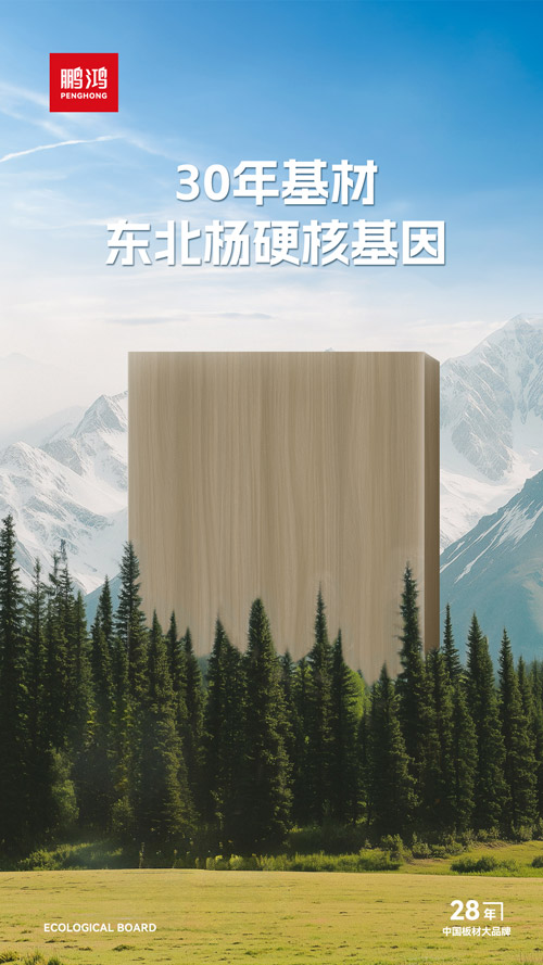 东北杨木生态板